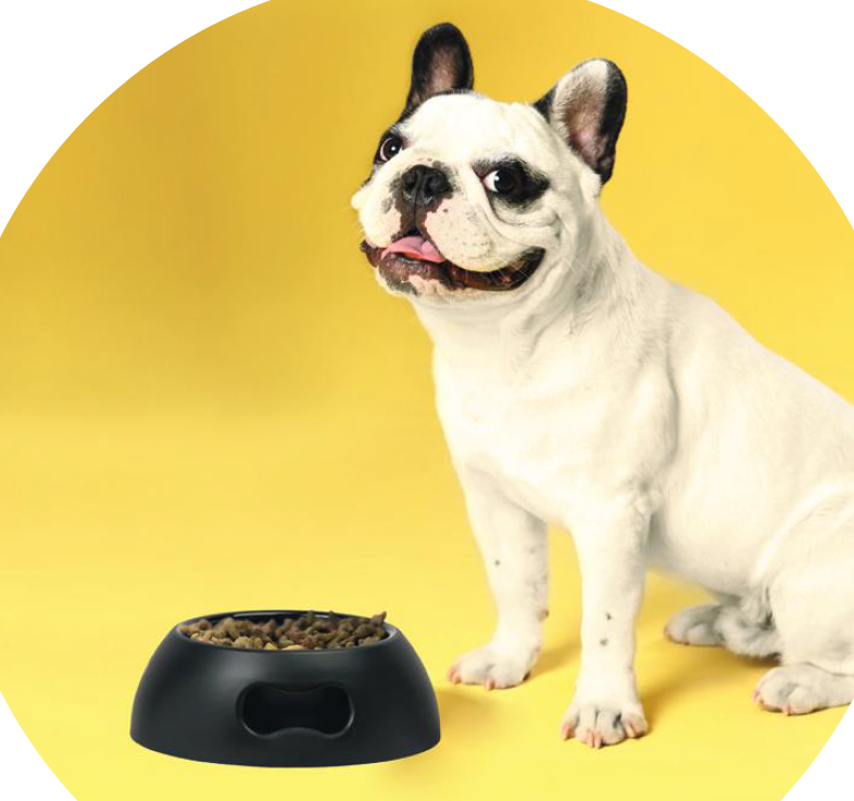 CIOTOLA PER ANIMALI NERO