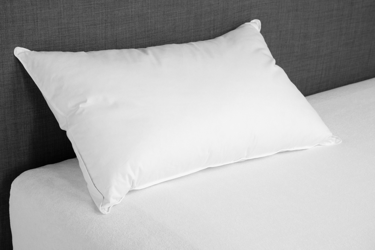 Cuscino in Piuma Silver, 100% Piumetta 100% Cotone