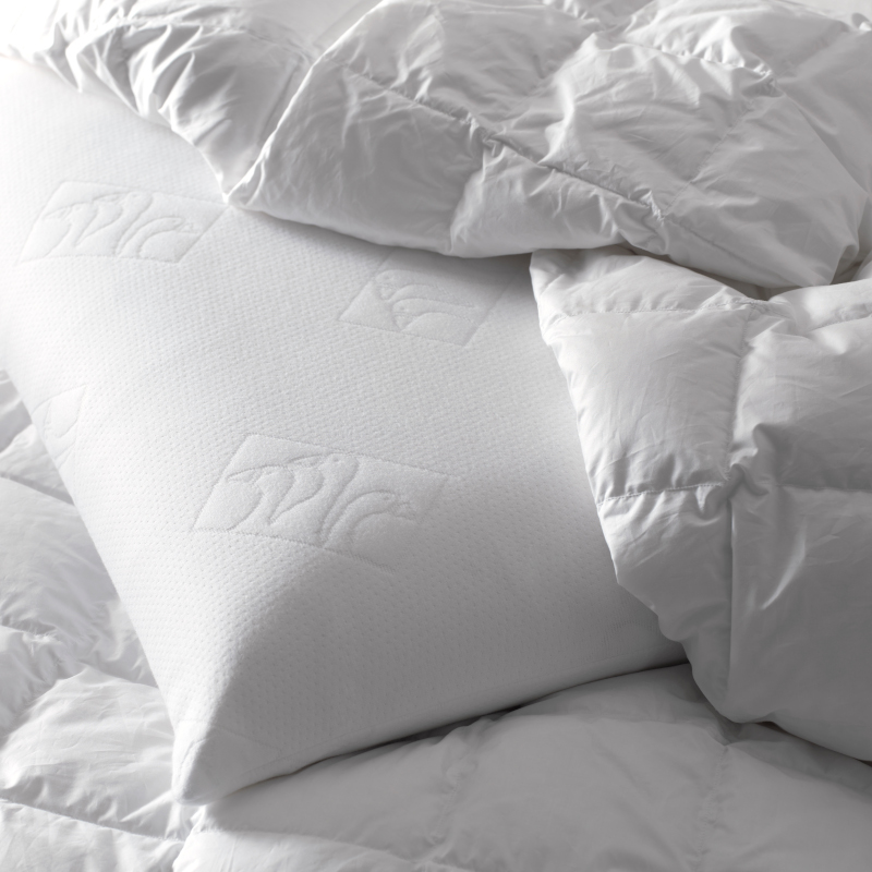 FEDERA PROTEGGI CUSCINO COMFORT PLUS 100% COTONE