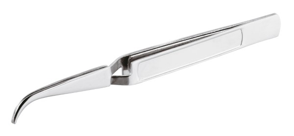 Pinza chef punte curve 16cm Inox