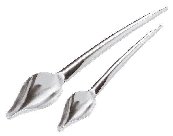 Cucchiaio Decorazione Set 2 Pz Inox