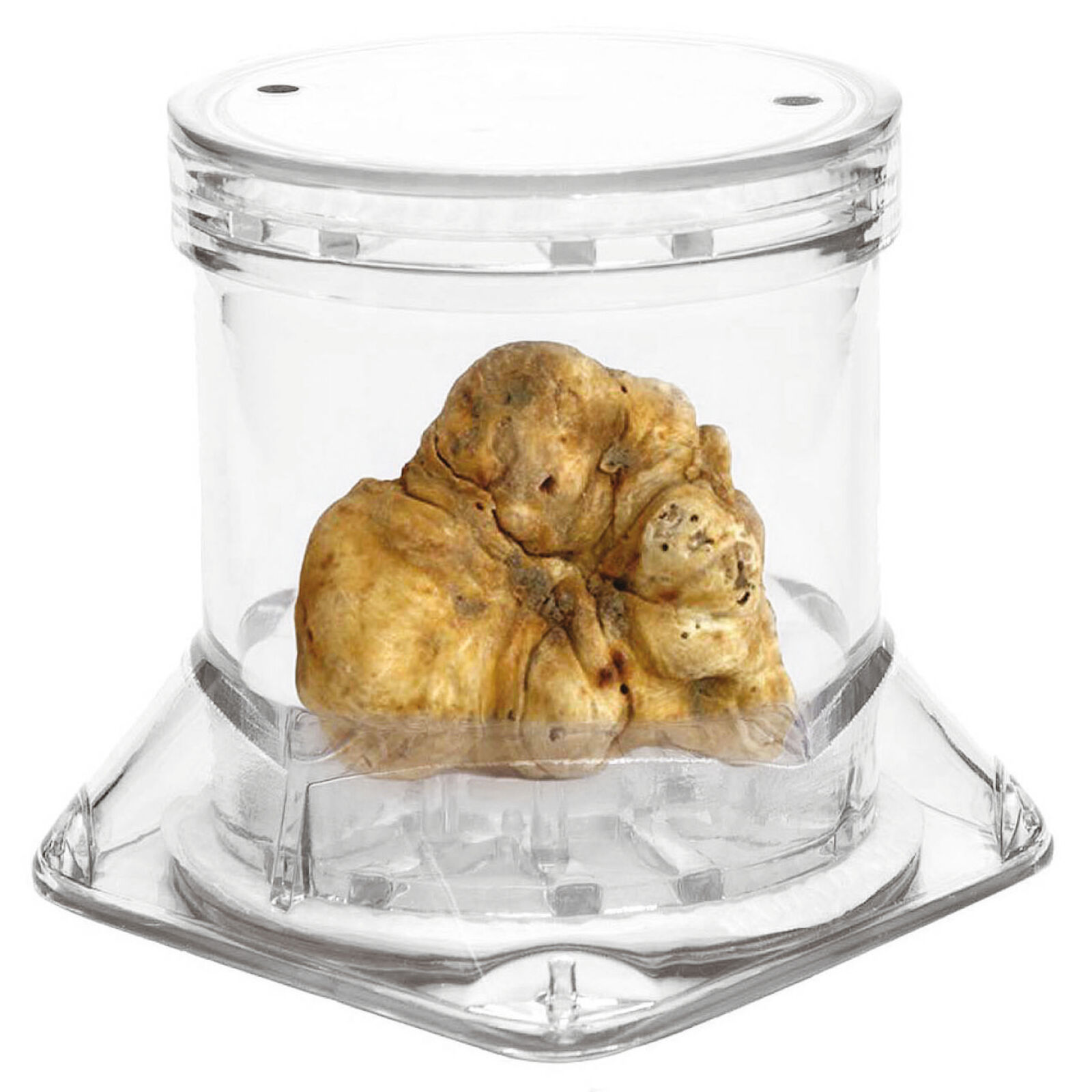 CONTENITORE PER TARTUFO Tuberpack