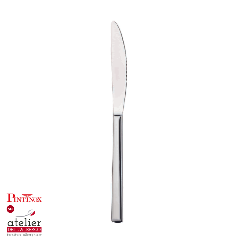 SYNTHESIS Coltelli Tavola Inox Lucido