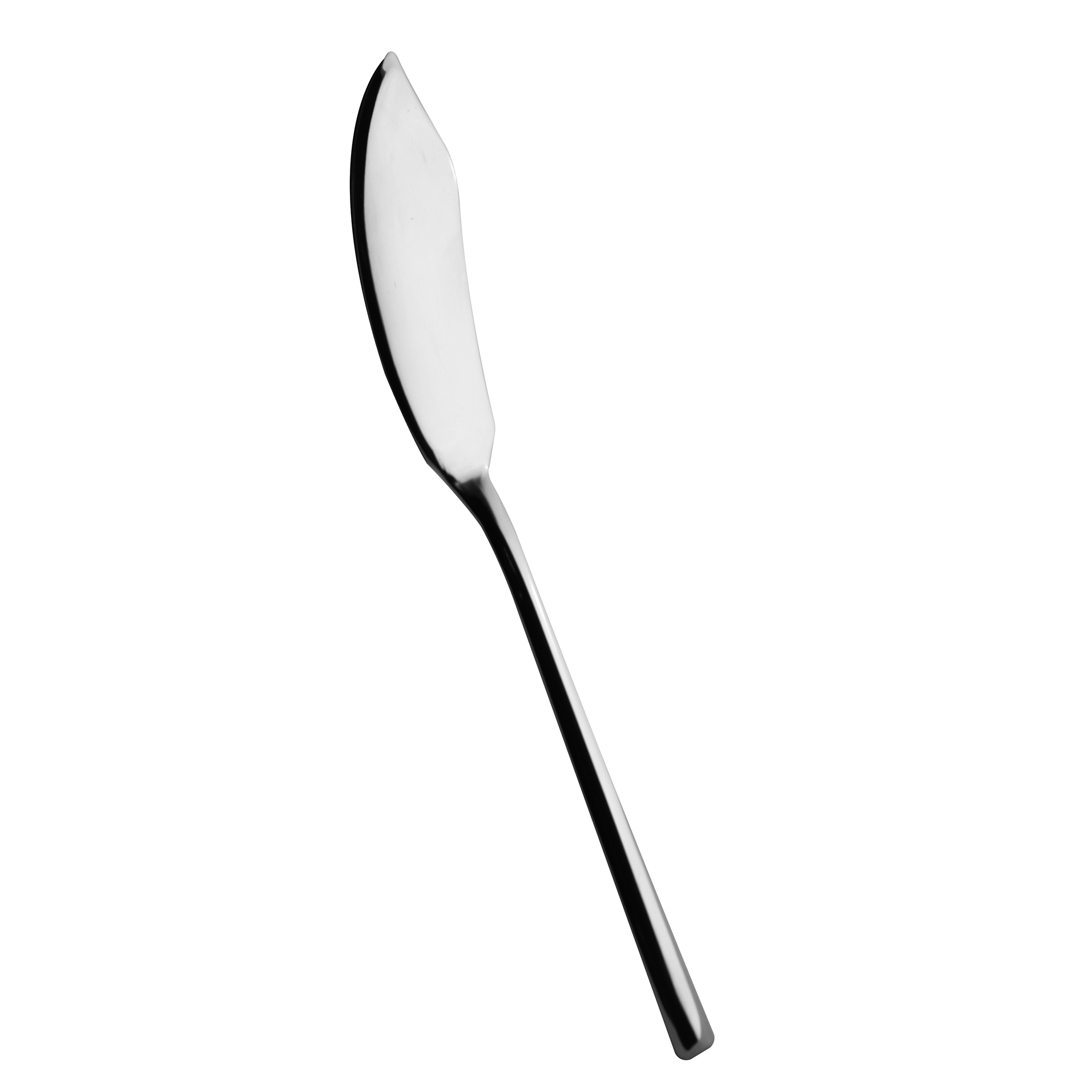 250 Coltello Pesce Inox Lucido