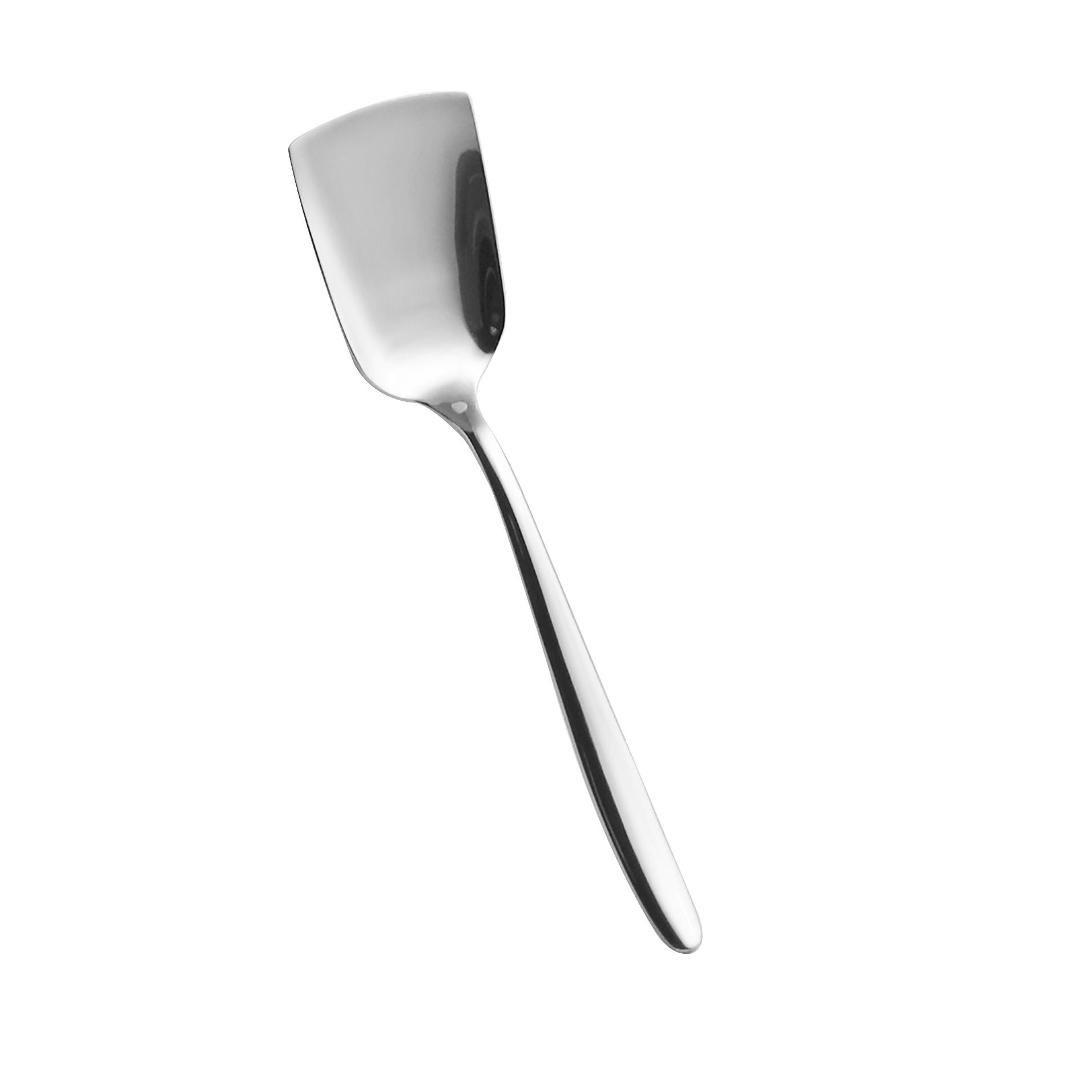 FAST Cucchiaino gelato Inox lucido